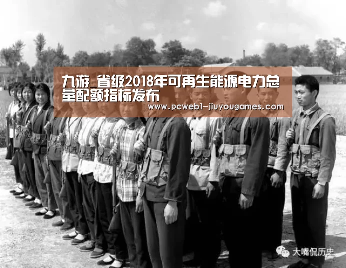 九游_省级2018年可再生能源电力总量配额指标发布(图2) 九游