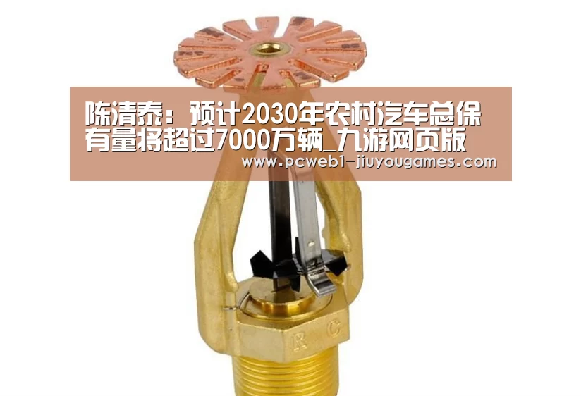 陈清泰:预计2030年农村汽车总保有量将超过7000万辆_九游网页版(图1) nine game