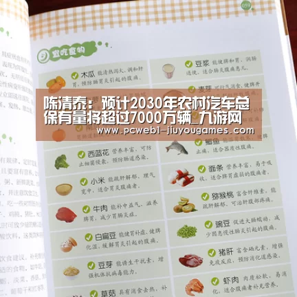 陈清泰:预计2030年农村汽车总保有量将超过7000万辆_九游网页版(图2) 九游官方网站